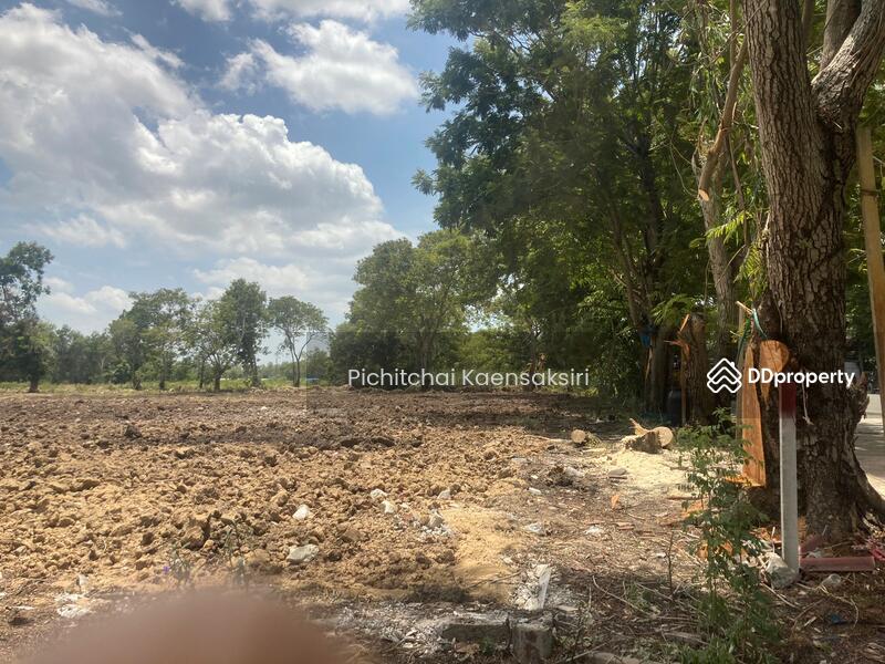 Land in Pathum Thani, Khlong Song, Khlong Luang, Pathum Thani 12120, Pathum Thani, Khlong Song, Khlong Luang, Pathum Thani, , 3,200 sqm, Land Option To Buy, by Pichitchai Kaensaksiri, 10975597 - DDproperty.com