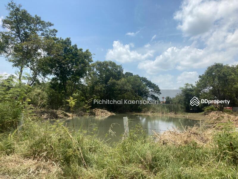 Land in Pathum Thani, Khlong Song, Khlong Luang, Pathum Thani 12120, Pathum Thani, Khlong Song, Khlong Luang, Pathum Thani, , 3,200 sqm, Land Option To Buy, by Pichitchai Kaensaksiri, 10975597 - DDproperty.com