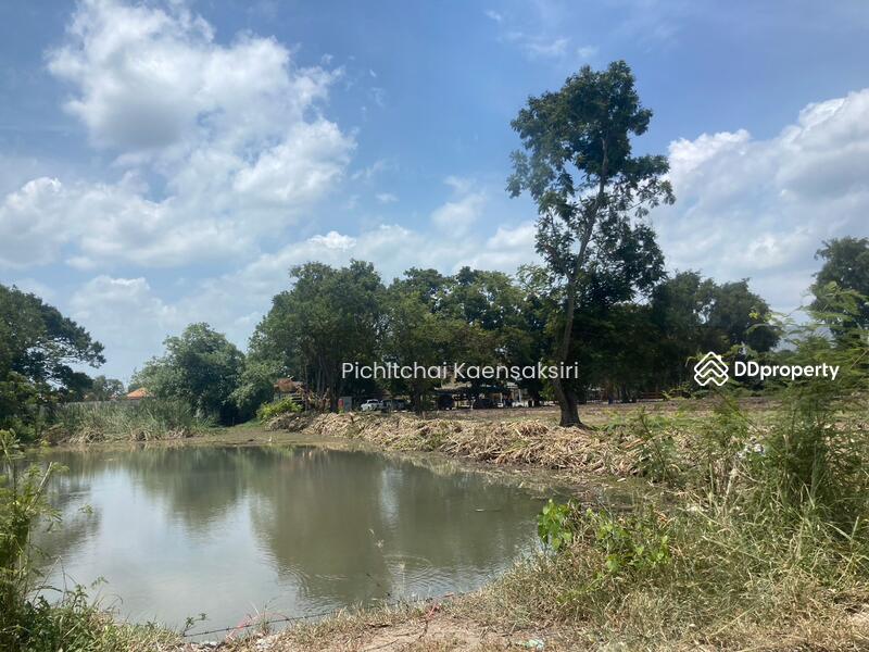 Land in Pathum Thani, Khlong Song, Khlong Luang, Pathum Thani 12120, Pathum Thani, Khlong Song, Khlong Luang, Pathum Thani, , 3,200 sqm, Land Option To Buy, by Pichitchai Kaensaksiri, 10975597 - DDproperty.com