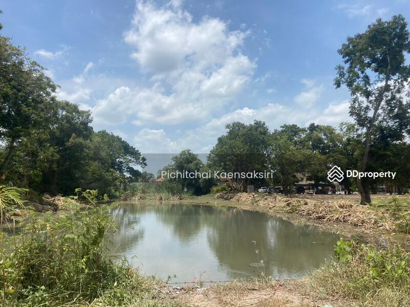 Land in Pathum Thani, Khlong Song, Khlong Luang, Pathum Thani 12120, Pathum Thani, Khlong Song, Khlong Luang, Pathum Thani, , 3,200 sqm, Land Option To Buy, by Pichitchai Kaensaksiri, 10975597 - DDproperty.com