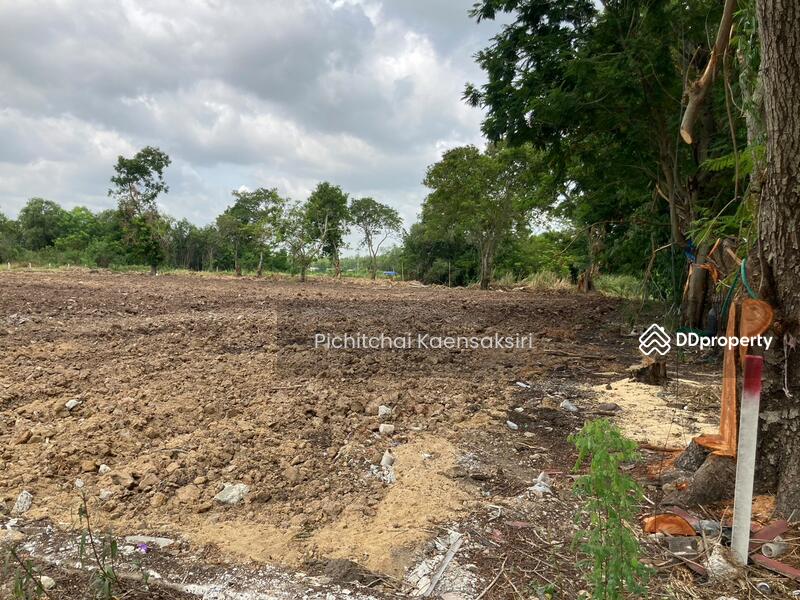 ที่ดินปทุมธานี คลองสอง คลองหลวง ปทุมธานี 12120, ปทุมธานี, คลองสอง, คลองหลวง, ปทุมธานี, 3,200 ตร.ม., ที่ดิน ขายดาวน์, โดย Pichitchai Kaensaksiri, 10975597 - DDproperty.com