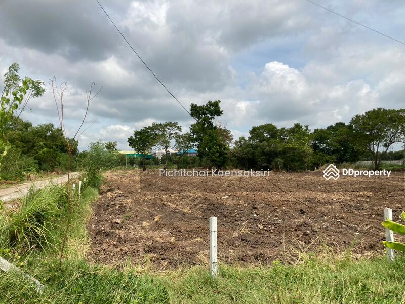 ที่ดินปทุมธานี คลองสอง คลองหลวง ปทุมธานี 12120, ปทุมธานี, คลองสอง, คลองหลวง, ปทุมธานี, 3,200 ตร.ม., ที่ดิน ขายดาวน์, โดย Pichitchai Kaensaksiri, 10975597 - DDproperty.com