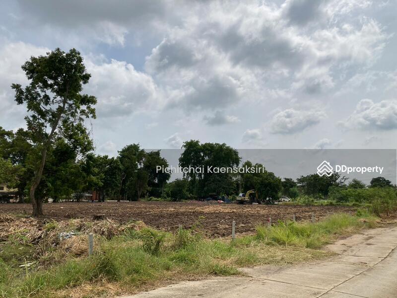 Land in Pathum Thani, Khlong Song, Khlong Luang, Pathum Thani 12120, Pathum Thani, Khlong Song, Khlong Luang, Pathum Thani, , 3,200 sqm, Land Option To Buy, by Pichitchai Kaensaksiri, 10975597 - DDproperty.com