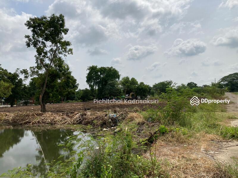 ที่ดินปทุมธานี คลองสอง คลองหลวง ปทุมธานี 12120, ปทุมธานี, คลองสอง, คลองหลวง, ปทุมธานี, 3,200 ตร.ม., ที่ดิน ขายดาวน์, โดย Pichitchai Kaensaksiri, 10975597 - DDproperty.com
