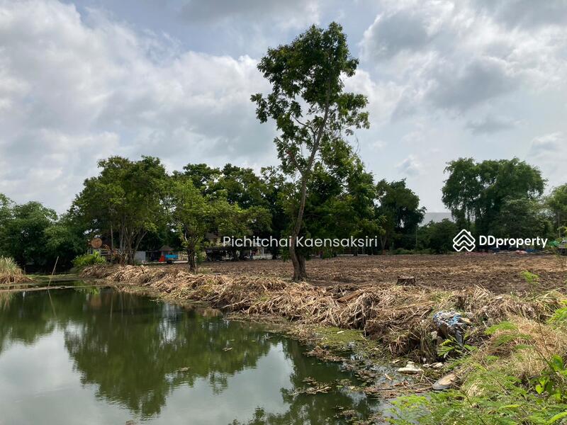 Land in Pathum Thani, Khlong Song, Khlong Luang, Pathum Thani 12120, Pathum Thani, Khlong Song, Khlong Luang, Pathum Thani, , 3,200 sqm, Land Option To Buy, by Pichitchai Kaensaksiri, 10975597 - DDproperty.com