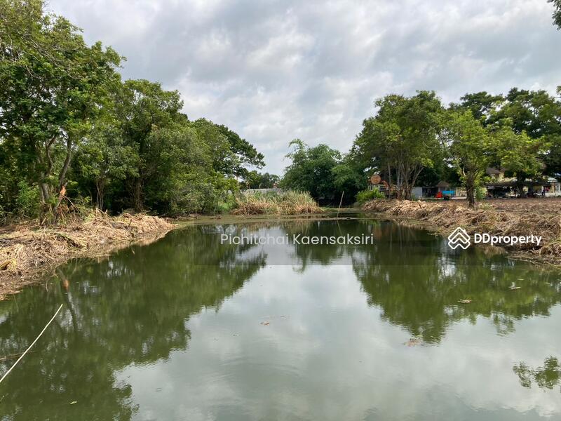 Land in Pathum Thani, Khlong Song, Khlong Luang, Pathum Thani 12120, Pathum Thani, Khlong Song, Khlong Luang, Pathum Thani, , 3,200 sqm, Land Option To Buy, by Pichitchai Kaensaksiri, 10975597 - DDproperty.com
