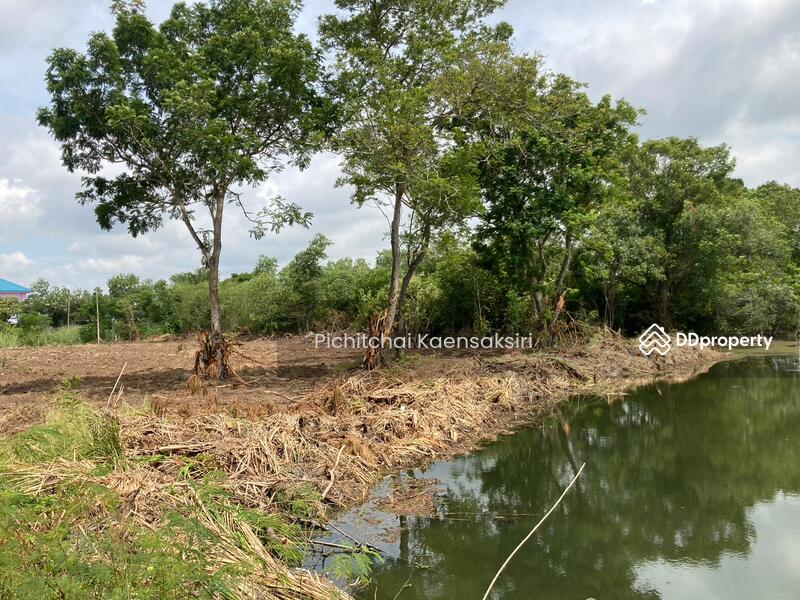 ที่ดินปทุมธานี คลองสอง คลองหลวง ปทุมธานี 12120, ปทุมธานี, คลองสอง, คลองหลวง, ปทุมธานี, 3,200 ตร.ม., ที่ดิน ขายดาวน์, โดย Pichitchai Kaensaksiri, 10975597 - DDproperty.com