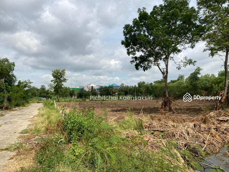 Land in Pathum Thani, Khlong Song, Khlong Luang, Pathum Thani 12120, Pathum Thani, Khlong Song, Khlong Luang, Pathum Thani, , 3,200 sqm, Land Option To Buy, by Pichitchai Kaensaksiri, 10975597 - DDproperty.com