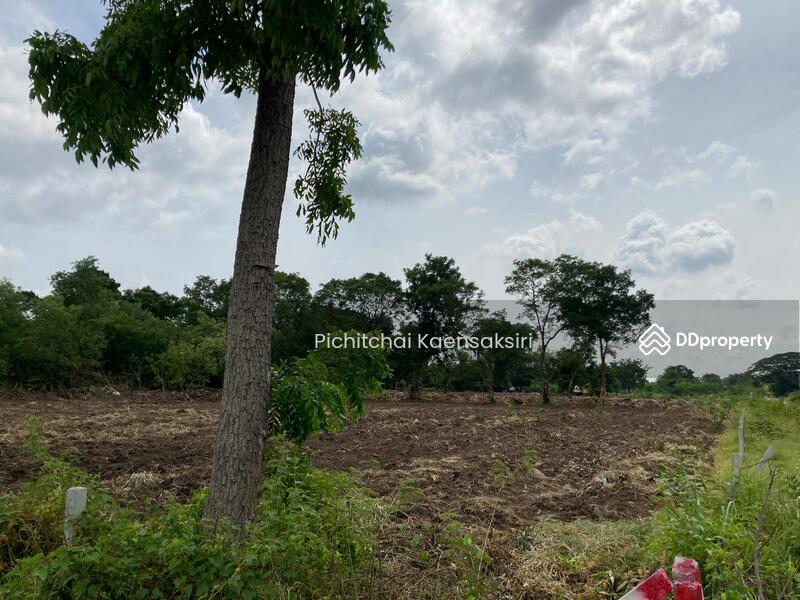 Land in Pathum Thani, Khlong Song, Khlong Luang, Pathum Thani 12120, Pathum Thani, Khlong Song, Khlong Luang, Pathum Thani, , 3,200 sqm, Land Option To Buy, by Pichitchai Kaensaksiri, 10975597 - DDproperty.com