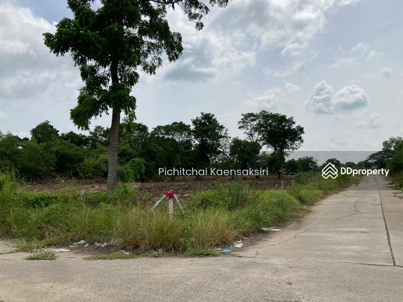 Land in Pathum Thani, Khlong Song, Khlong Luang, Pathum Thani 12120, Pathum Thani, Khlong Song, Khlong Luang, Pathum Thani, , 3,200 sqm, Land Option To Buy, by Pichitchai Kaensaksiri, 10975597 - DDproperty.com