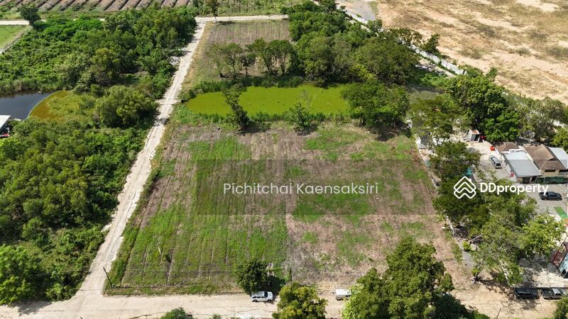 Land in Pathum Thani, Khlong Song, Khlong Luang, Pathum Thani 12120, Pathum Thani, Khlong Song, Khlong Luang, Pathum Thani, , 3,200 sqm, Land Option To Buy, by Pichitchai Kaensaksiri, 10975597 - DDproperty.com