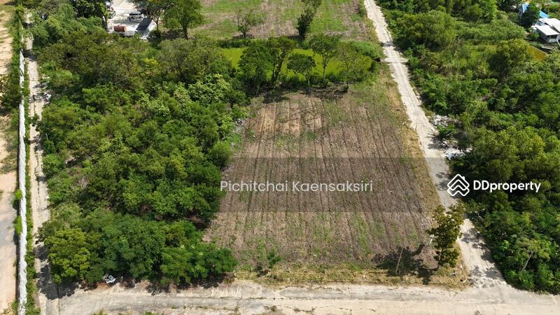 ที่ดินปทุมธานี คลองสอง คลองหลวง ปทุมธานี 12120, ปทุมธานี, คลองสอง, คลองหลวง, ปทุมธานี, 3,200 ตร.ม., ที่ดิน ขายดาวน์, โดย Pichitchai Kaensaksiri, 10975597 - DDproperty.com