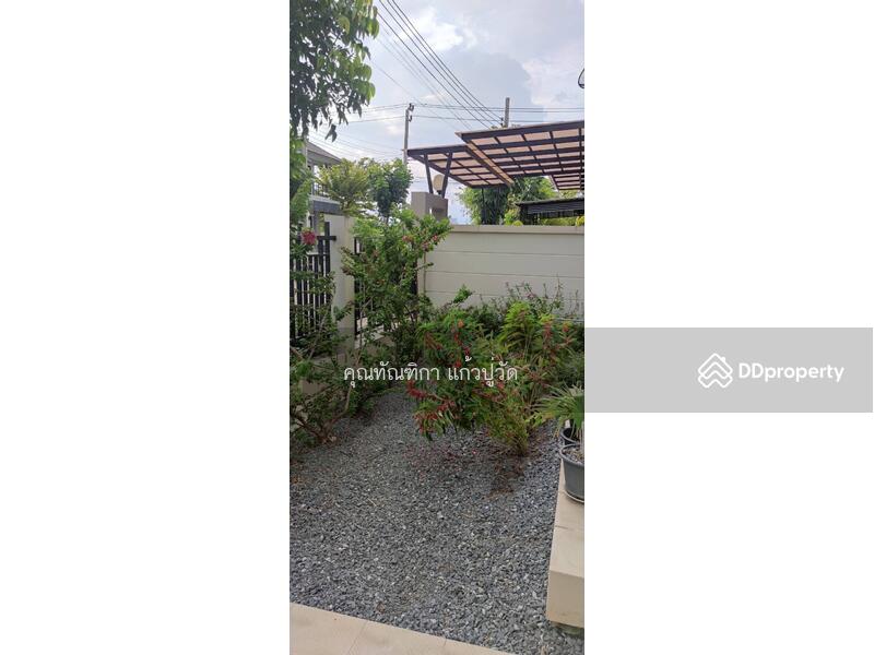 Pruklada 2 Thakham-Rama 2, Bangkok, Muban Pruek Lada 2 Road, Tha Kham, Bang Khun Thian, Bangkok, 4 Bedrooms, 180 sqm, Single Detached House For Rent, by ทัณฑิกา แก้วปู่วัด, 10976483 - DDproperty.com