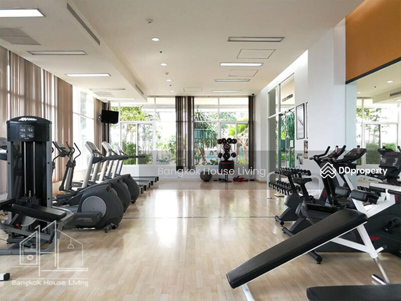 ให้เช่า - The Residence Sukhumvit 24 : เดอะ เรสซิเดนซ์ สุขุมวิท 24, กรุงเทพ
