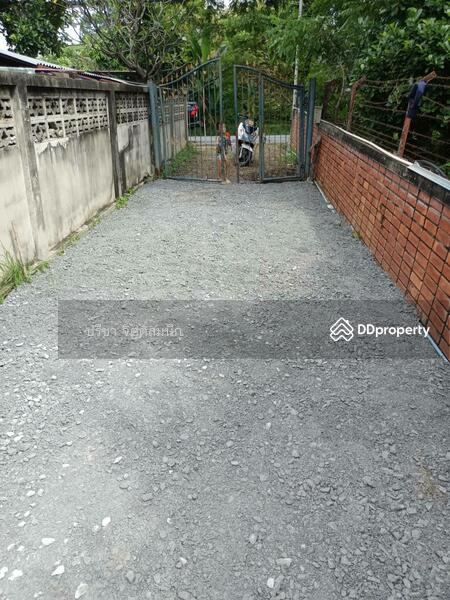 For Sale - Filled Land 399 sq wah on Chao Phraya river adjacent Wat Chaiwattanaram, Uthong road, Phra Nakhon Si Ayutthaya