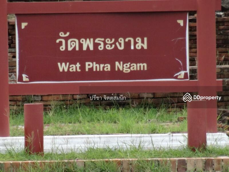 For Sale - Filled Land 399 sq wah on Chao Phraya river adjacent Wat Chaiwattanaram, Uthong road, Phra Nakhon Si Ayutthaya
