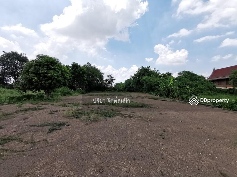 For Sale - Filled Land 399 sq wah on Chao Phraya river adjacent Wat Chaiwattanaram, Uthong road, Phra Nakhon Si Ayutthaya