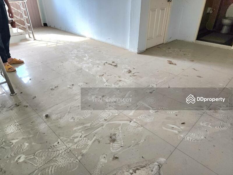 เช่า อาคารพาณิชย์ 2 ห้องคู่ ในเมือง, nakhon-ratchasima, Nai Muang, Muang Nakhon Ratchasima, Nakhon Ratchasima, , 860 sqm, Shophouse For Rent, by วิรณี อัลล์กาเยอร์, 10977919 - DDproperty.com