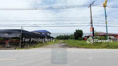 ขาย - ที่ดิน 59 ไร่ องครักษ์ นครนายก, นครนายก