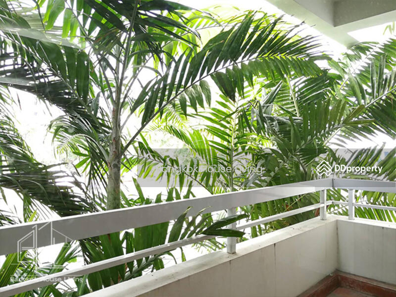 Neo Aree : นีโอ อารีย์, กรุงเทพ, 59 ซอยสุขุมวิท 26, คลองตัน, คลองเตย, กรุงเทพ, 250 ตร.ม., อพาร์ทเมนท์ ให้เช่า, โดย Bangkok House Living, 10979143 - DDproperty.com