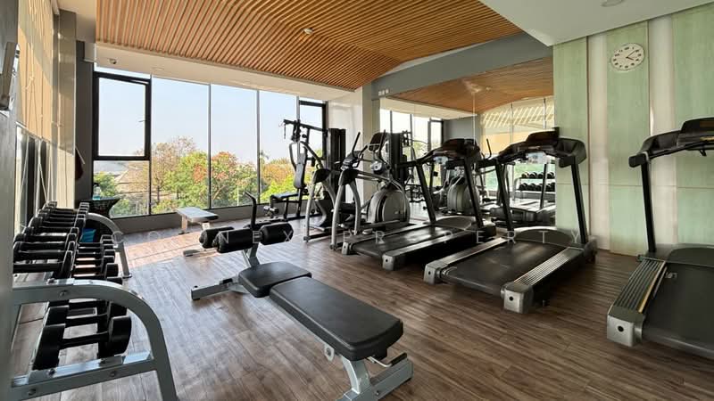 Kensington Kaset-Campus : เคนซิงตัน เกษตร แคมปัส, กรุงเทพ, ซอย พหลโยธิน 49/1, ลาดยาว, จตุจักร, กรุงเทพ, 26 ตร.ม., คอนโด ขาย, โดย Connex Property, 10979150 - DDproperty.com