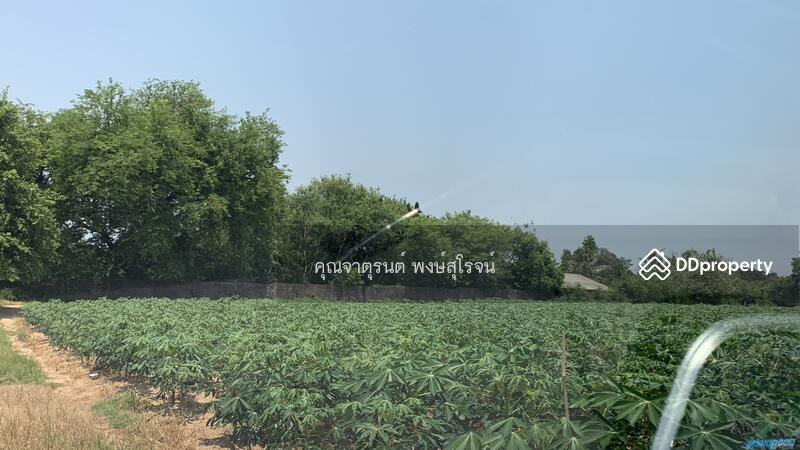 ซ.ชุมชนเขาน้อย 3 ต.สุรศักดิ์ อ.ศรีราชา จ.ชลบุรี (ศรีราชา-หนองค้อ ซอย 41) 20110, ชลบุรี, สุรศักดิ์, ศรีราชา, ชลบุรี, 26,400 ตร.ม., ที่ดิน ขาย, โดย คุณจาตุรนต์ พงษ์สุโรจน์, 10979508 - DDproperty.com