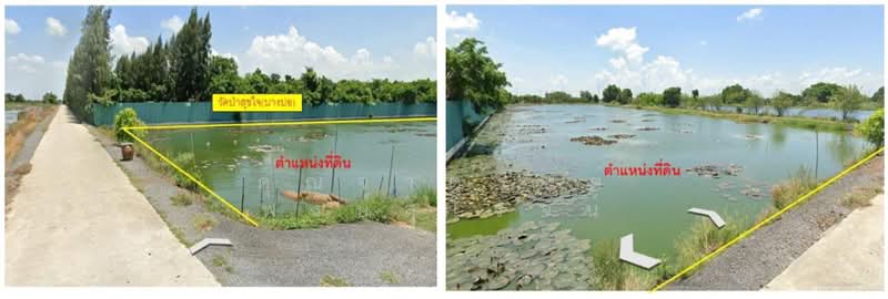ตำบล เปร็ง อำเภอบางบ่อ สมุทรปราการ 10540, สมุทรปราการ, เปร็ง, บางบ่อ, สมุทรปราการ, 15,968 ตร.ม., ที่ดิน ขาย, โดย คุณจาตุรนต์ พงษ์สุโรจน์, 10979525 - DDproperty.com