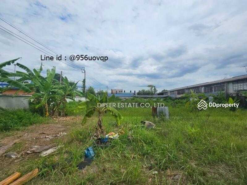 ที่ดินรามคำแหง130, กรุงเทพ, รามคำแหง, สะพานสูง, สะพานสูง, กรุงเทพ, 2,160 ตร.ม., ที่ดิน ขาย, โดย DIFFER ESTATE CO., LTD, 10979817 - DDproperty.com