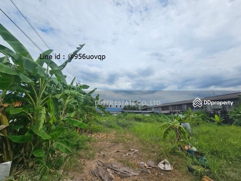 Land Ramkhamhaeng 130, Bangkok, รามคำแหง, Saphan Sung, Saphan Sung, Bangkok, , 2,160 sqm, Land For Sale, by DIFFER ESTATE CO., LTD, 10979817 - DDproperty.com