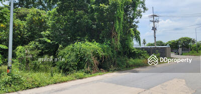 ขาย - ที่ดินลาดหลุมแก้ว 17-0-28ไร่ ข้างโรงงานที่นอนปีนัง ต.คูขวางจ.ปทุมธานี ขายไร่ละ 3.3ล้านบาท โอน 50/50, ปทุมธานี