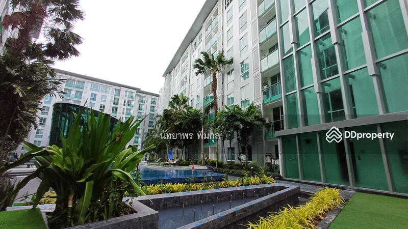 City Center Residence : ซิตี้ เซ็นเตอร์ เรสซิเดนซ์, ชลบุรี, ถนนพัทยาสาย3 เมืองพัทยา อำเภอบางละมุง ชลบุรี, หนองปรือ, บางละมุง, ชลบุรี, 25 ตร.ม., คอนโด ให้เช่า, โดย นัทยาพร พึ่มกุล (เบนซ์), 10981540 - DDproperty.com