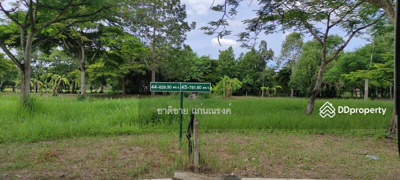 สนามกอล์ฟกรุงกวี, ปทุมธานี, รังสิต นครนายก, บึงยี่โถ, ธัญบุรี, ปทุมธานี, 1,136 ตร.ม., ที่ดิน ขาย, โดย ชาติชาย แก่นณรงค์, 10981904 - DDproperty.com