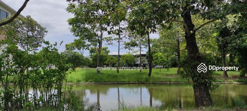 สนามกอล์ฟกรุงกวี, ปทุมธานี, รังสิต นครนายก, บึงยี่โถ, ธัญบุรี, ปทุมธานี, 1,136 ตร.ม., ที่ดิน ขาย, โดย ชาติชาย แก่นณรงค์, 10981904 - DDproperty.com