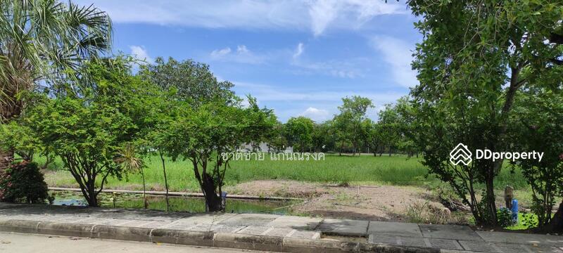 สนามกอล์ฟกรุงกวี, ปทุมธานี, รังสิต นครนายก, บึงยี่โถ, ธัญบุรี, ปทุมธานี, 1,136 ตร.ม., ที่ดิน ขาย, โดย ชาติชาย แก่นณรงค์, 10981904 - DDproperty.com