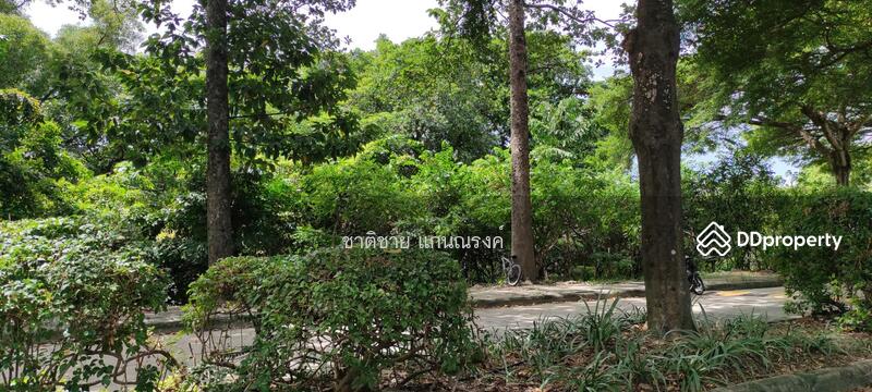 Krungkavee golf course, Pathum Thani, รังสิต นครนายก, Bang Yitho, Thanyaburi, Pathum Thani, , 1,136 sqm, Land For Sale, by Chartchai Kaennarong, 10981904 - DDproperty.com