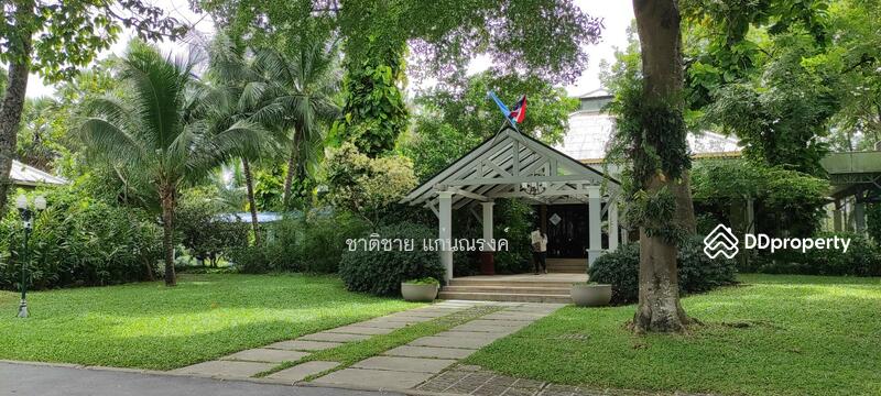สนามกอล์ฟกรุงกวี, ปทุมธานี, รังสิต นครนายก, บึงยี่โถ, ธัญบุรี, ปทุมธานี, 1,136 ตร.ม., ที่ดิน ขาย, โดย ชาติชาย แก่นณรงค์, 10981904 - DDproperty.com