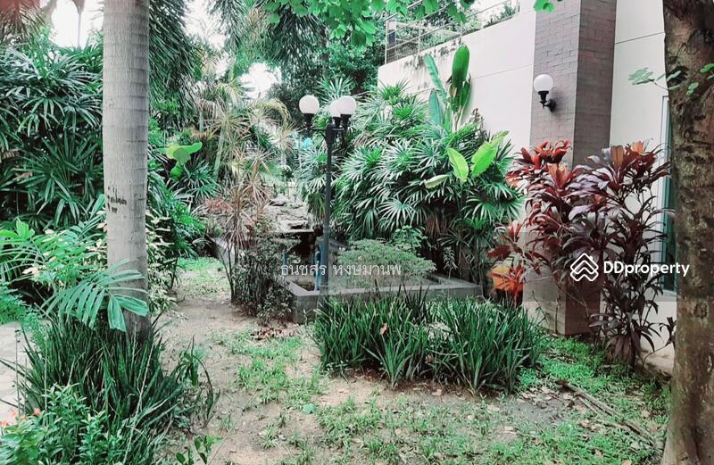 ขายสำนักงาน สุขุมวิท 101/1 เข้าซอยปุณวิถี 34 อาคาร 1 หลังและบ้าน 1 หลัง รวม 562 ตรว. ขาย 68 ล้าน, กรุงเทพ, 9 สุขุมวิท 101/1 ซอยปุณวิถี 34, บางจาก, พระโขนง, กรุงเทพ, 2,000 ตร.ม., สำนักงาน ขาย, โดย ธนัชสร หงษ์มานพ, 10982116 - DDproperty.com