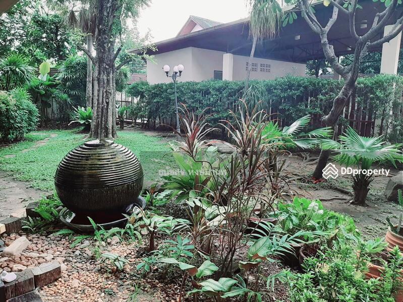 ขายสำนักงาน สุขุมวิท 101/1 เข้าซอยปุณวิถี 34 อาคาร 1 หลังและบ้าน 1 หลัง รวม 562 ตรว. ขาย 68 ล้าน, กรุงเทพ, 9 สุขุมวิท 101/1 ซอยปุณวิถี 34, บางจาก, พระโขนง, กรุงเทพ, 2,000 ตร.ม., สำนักงาน ขาย, โดย ธนัชสร หงษ์มานพ, 10982116 - DDproperty.com