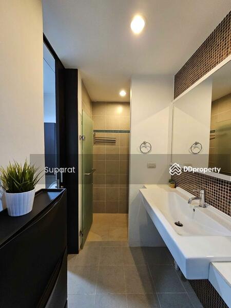For Rent - The Muse Sukhumvit, Bangkok