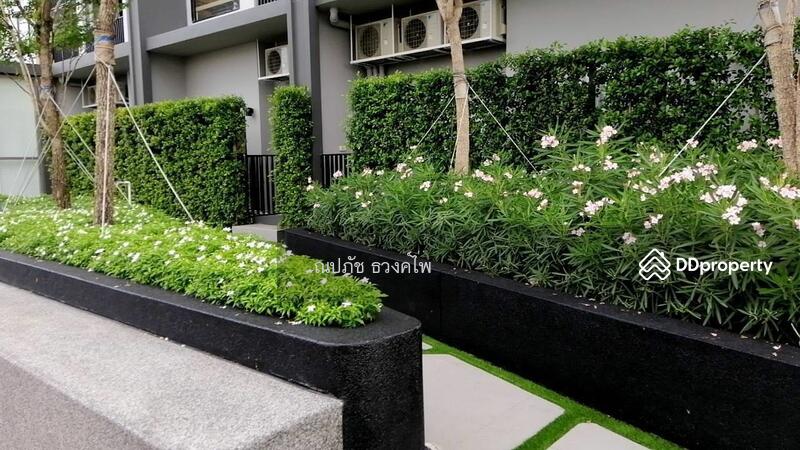 Niche Mono Charoen Nakorn : นิช โมโน เจริญนคร, กรุงเทพ, ถนนเจริญนคร, ดาวคะนอง, ธนบุรี, กรุงเทพ, 69 ตร.ม., Condo ขาย, โดย ณปภัช, 10983599 - DDproperty.com