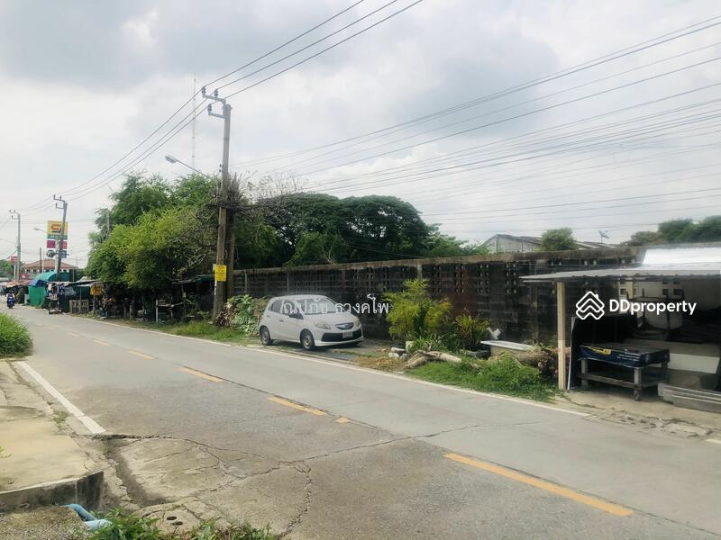 ขายด่วน!แปลงสวย ที่ดิน 3ไร่ 3งาน 78ตรว. ซ.เฉลิมพระเกียรติ 30 แยก 11ใกล้สวนหลวงร.9, กรุงเทพ, ถนนเฉลิมพระเกียรติ 30 แยก 11 แขวงดอกไม้ เขตประเวศ, ดอกไม้, ประเวศ, กรุงเทพ, 6,312 ตร.ม., ที่ดิน ขาย, โดย ณปภัช ธวงค์ไพ, 10984476 - DDproperty.com