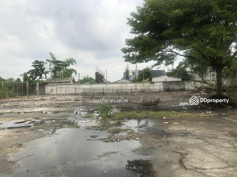 Land For Sale! Land Size1,578 Sqw. (6,312 Sqm.)Soi Chaloem Phra Kiat 30,Dokmai, Prawet, Bangkok, ถนนเฉลิมพระเกียรติ 30 แยก 11 แขวงดอกไม้ เขตประเวศ, Dok Mai, Prawet, Bangkok, , 6,312 sqm, Land For Sale, by ณปภัช ธวงค์ไพ, 10984476 - DDproperty.com