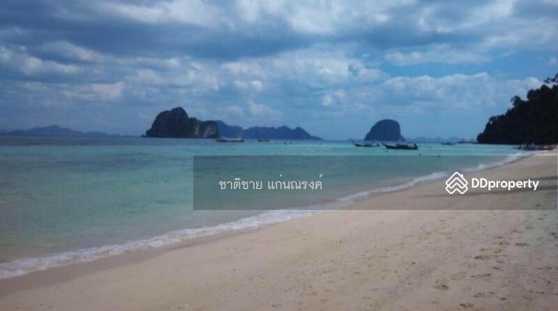 For Sale - beach front Koh Ngai Krabi 38 rais, Krabi