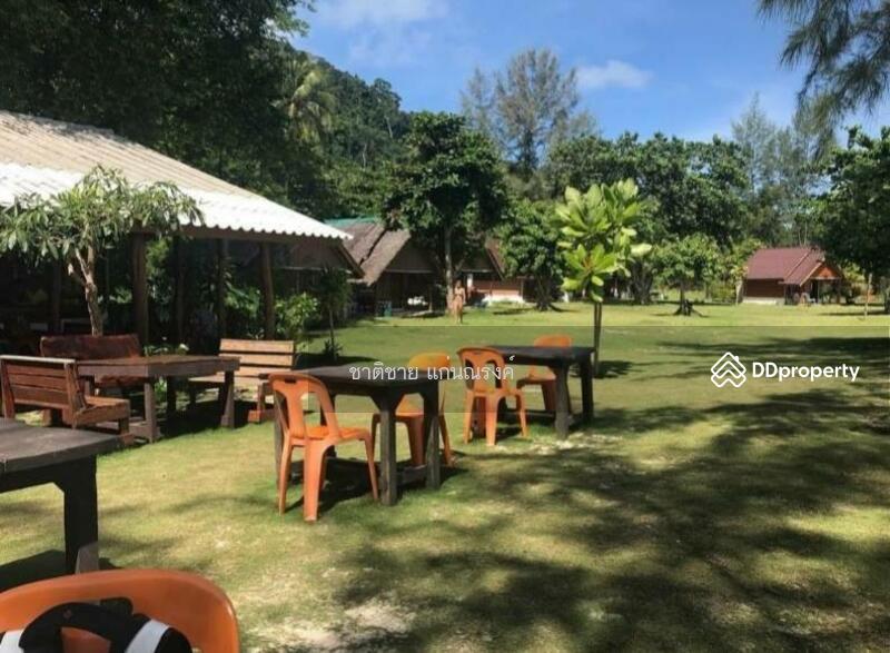 For Sale - beach front Koh Ngai Krabi 38 rais, Krabi
