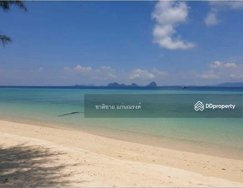 For Sale - beach front Koh Ngai Krabi 38 rais, Krabi