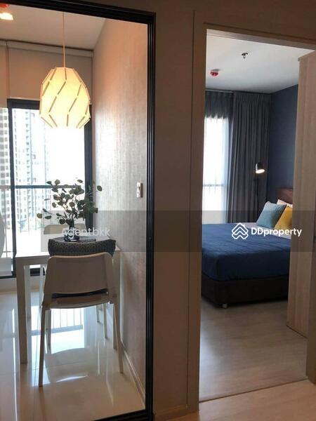 Life Sukhumvit 48 : ไลฟ์ สุขุมวิท 48, กรุงเทพ, ซอยสุขุมวิท 48, พระโขนง, คลองเตย, กรุงเทพ, 30 ตร.ม., คอนโด ให้เช่า, โดย Agentbkk, 10984923 - DDproperty.com