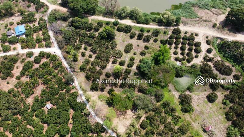 ขาย - ที่ติดแม่น้ำปิง ตำบล บ้านแปะ อำเภอจอมทอง เชียงใหม่, เชียงใหม่