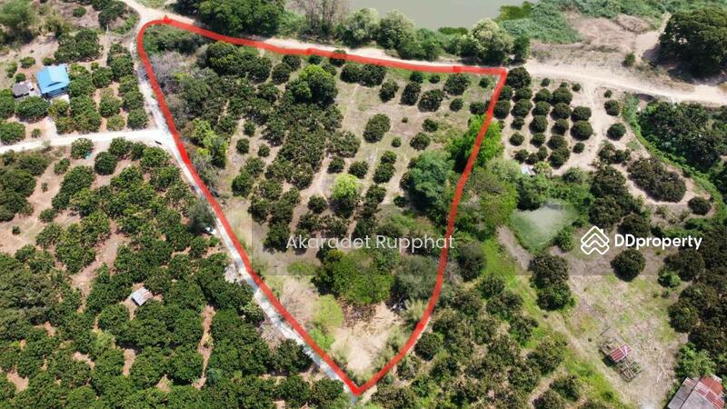 ที่ติดแม่น้ำปิง ตำบล บ้านแปะ อำเภอจอมทอง เชียงใหม่, Chiang Mai, Ban Pae, Chom Thong, Chiang Mai, , 9,028 sqm, Land For Sale, by Akaradet Rupphat, 10985450 - DDproperty.com