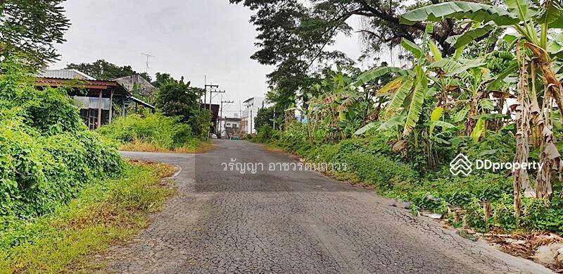ขาย - ขายที่ดินกระบี่, กระบี่