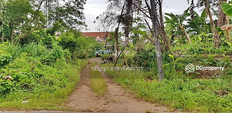 ขาย - ขายที่ดินกระบี่, กระบี่